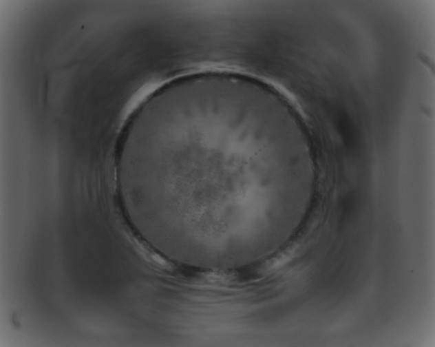 X0000095691271200801081240
