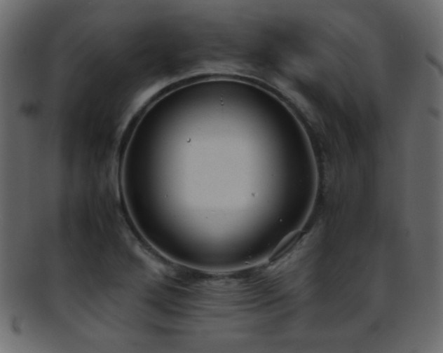 X0000095691272200801081240