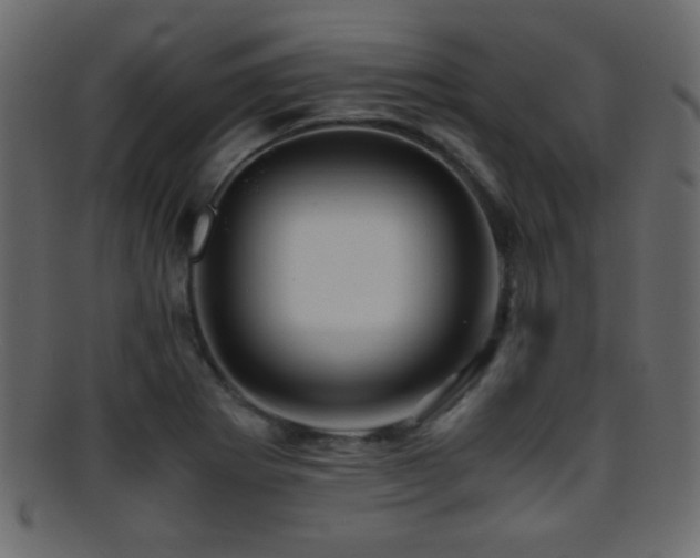 X0000095691273200801081240