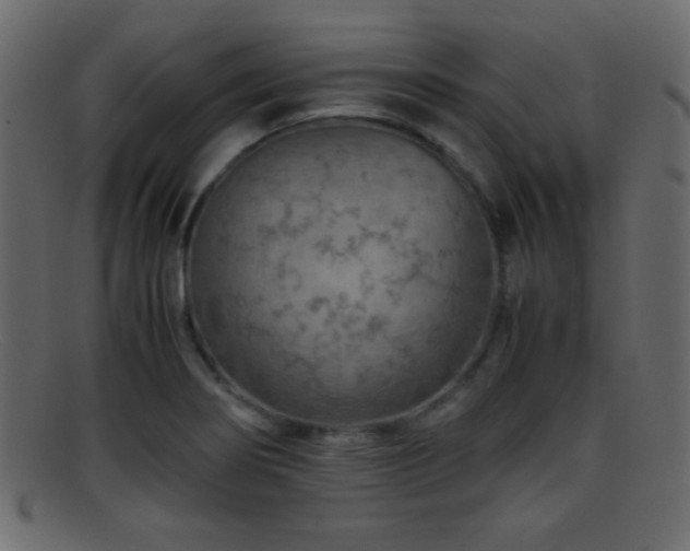 X0000095691274200801081240