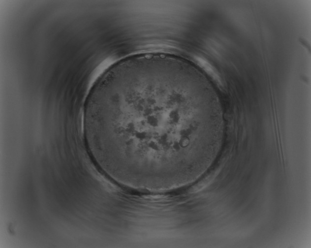 X0000095691275200801081240