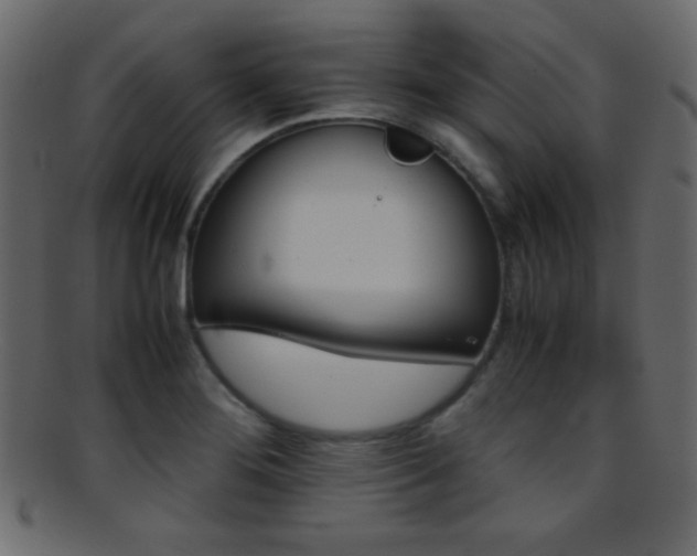 X0000095691276200801081240