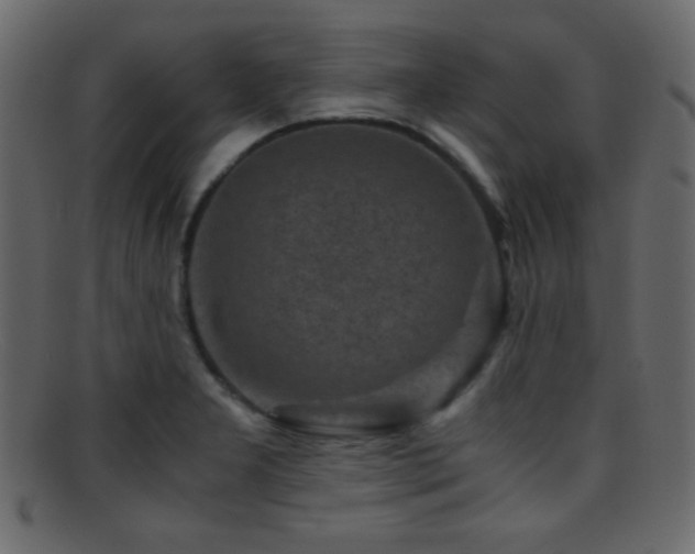 X0000095691277200801081240