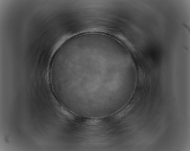 X0000095691278200801081240