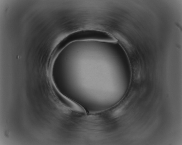 X0000095691280200801081240