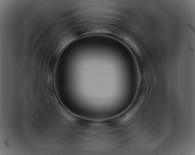 X0000095691281200801081240