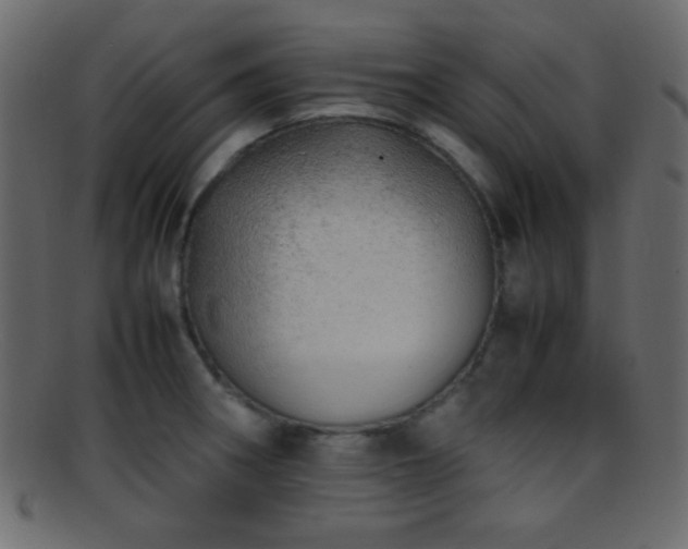 X0000095691282200801081240