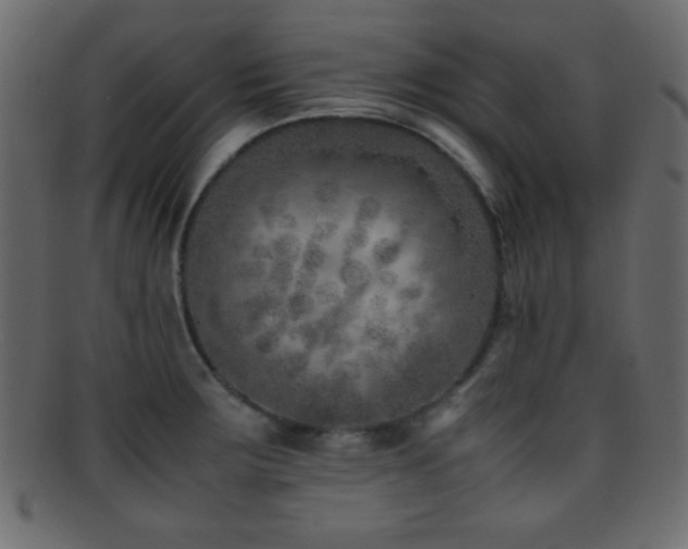X0000095691283200801081240