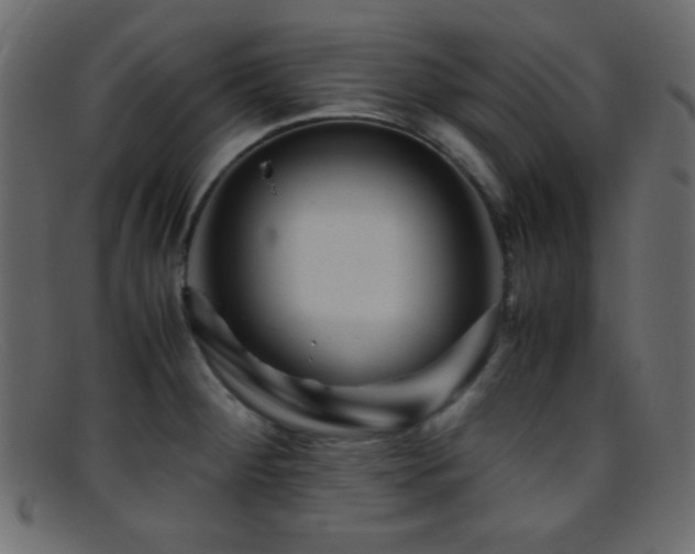 X0000095691284200801081240