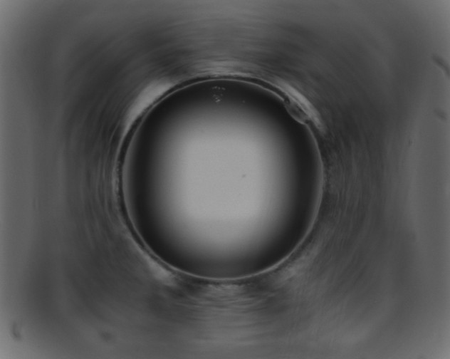 X0000095691285200801081240
