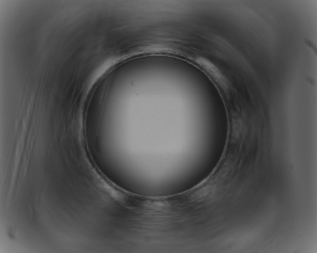 X0000095691286200801081240