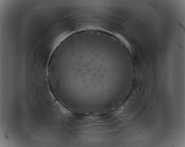 X0000095691287200801081240