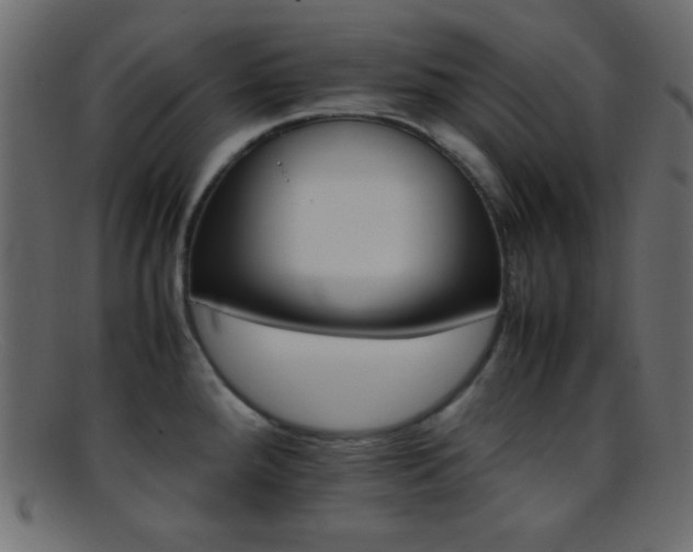 X0000095691288200801081240