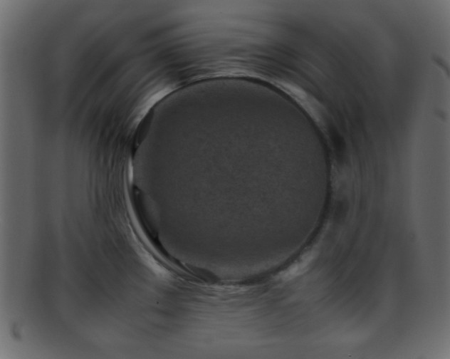 X0000095691289200801081240