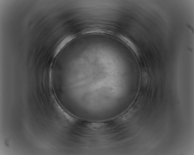 X0000095691290200801081240