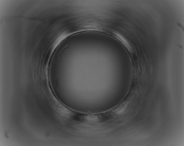 X0000095691291200801081240