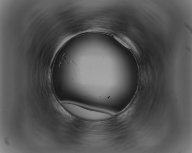 X0000095691292200801081240