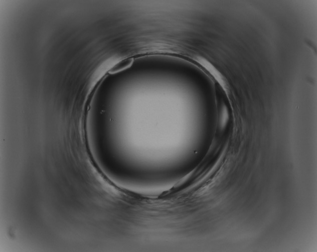 X0000095691293200801081240