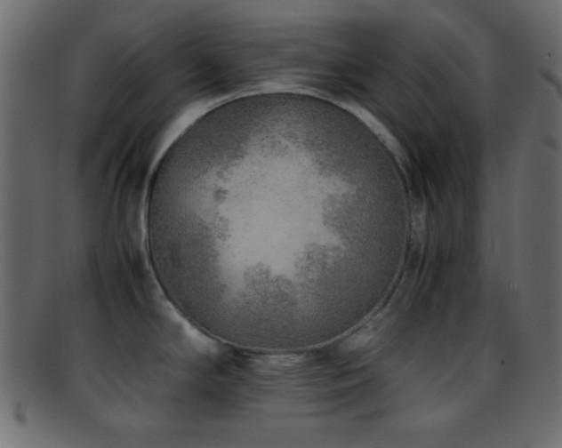 X0000095691294200801081240