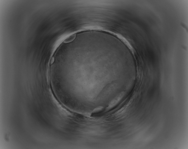X0000095691295200801081240