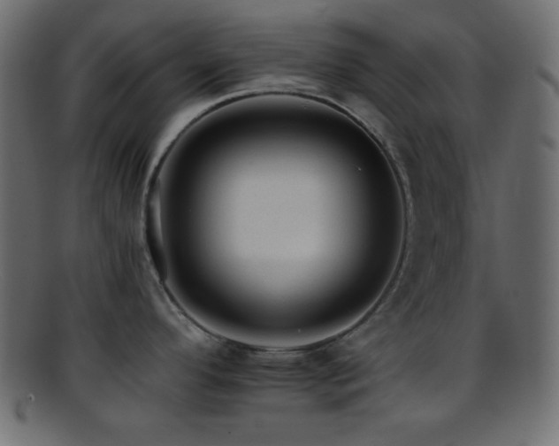 X0000095691296200801081240