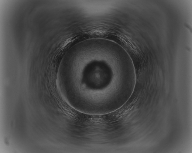 X0000095691297200801081239