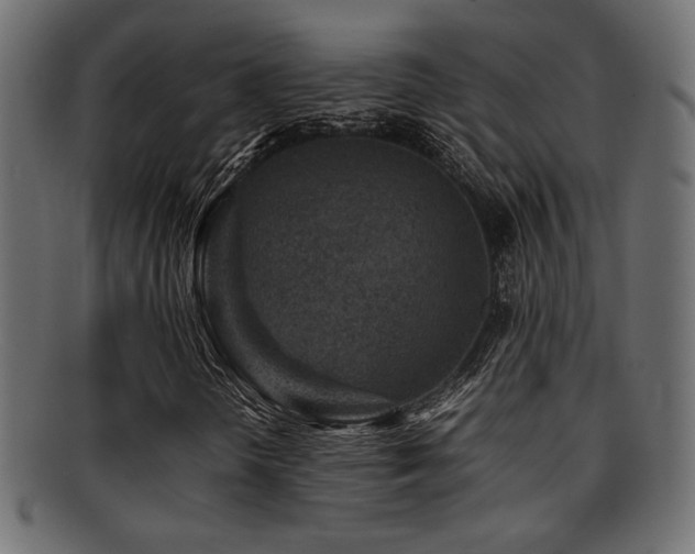 X0000095691298200801081239