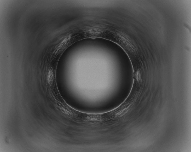 X0000095691299200801081239