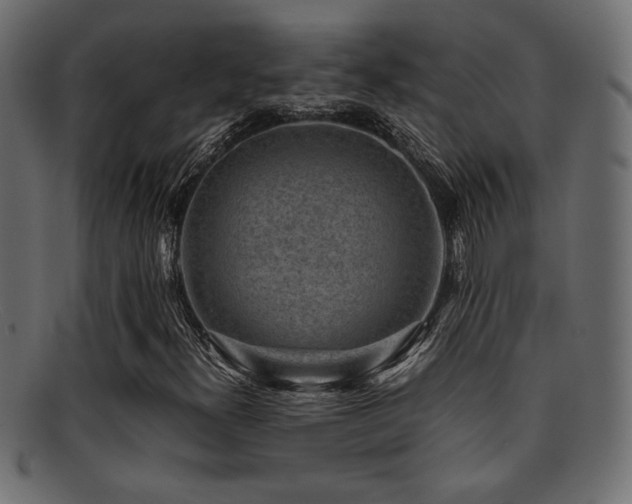 X0000095691300200801081239