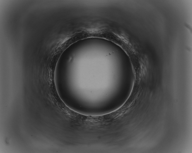 X0000095691301200801081239