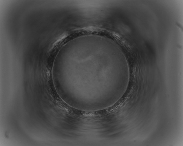X0000095691302200801081239