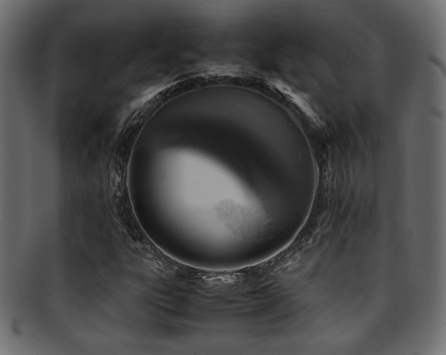 X0000095691303200801081239