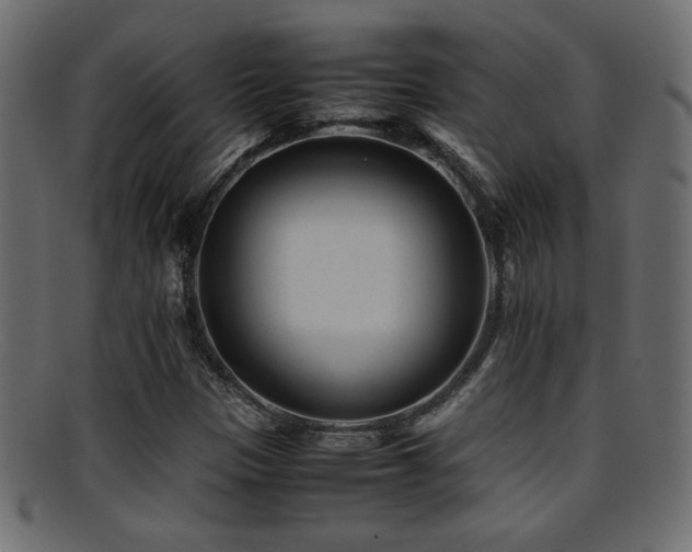 X0000095691305200801081239