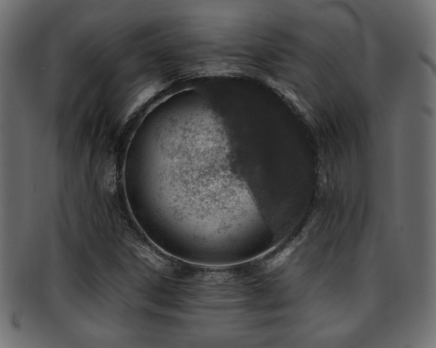 X0000095691306200801081239