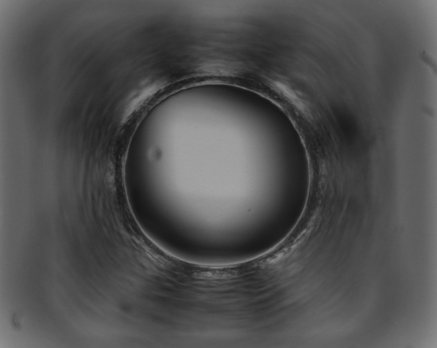 X0000095691307200801081239