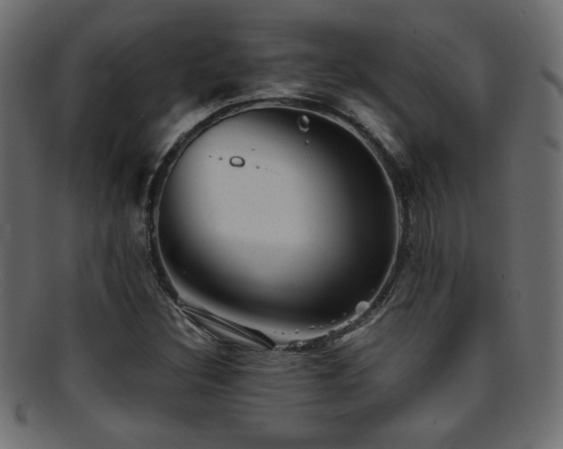 X0000095691308200801081239