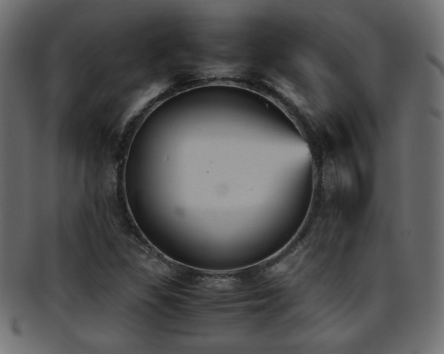 X0000095691309200801081239