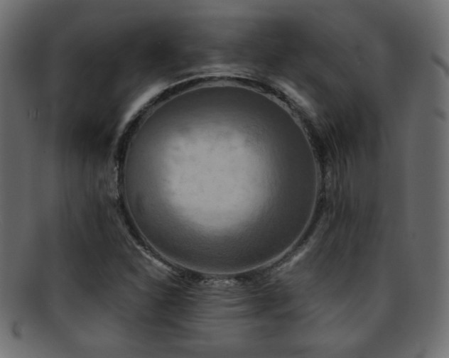 X0000095691310200801081239