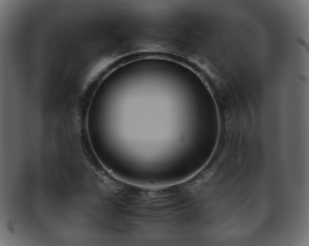X0000095691311200801081239