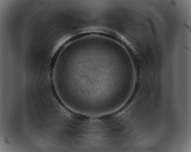 X0000095691312200801081239