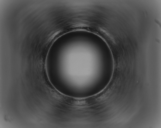 X0000095691313200801081239