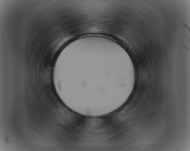 X0000095691314200801081239
