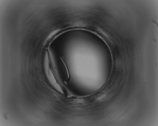 X0000095691315200801081240