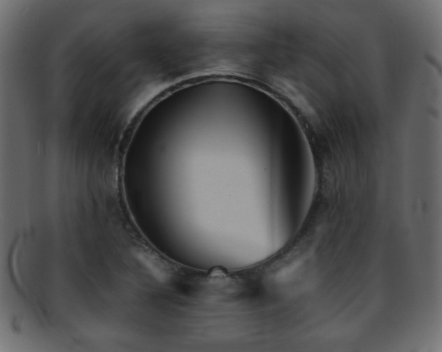 X0000095691316200801081240