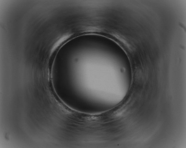 X0000095691317200801081240