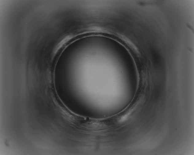 X0000095691318200801081240