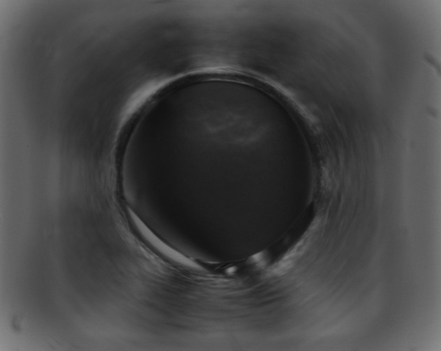 X0000095691319200801081240