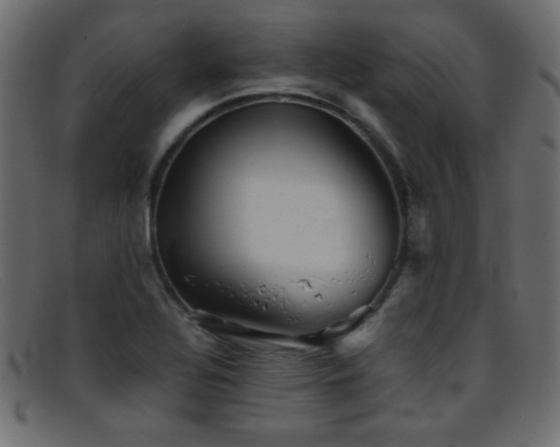 X0000095691320200801081240