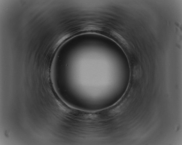 X0000095691321200801081240