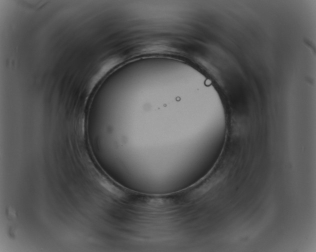 X0000095691322200801081240